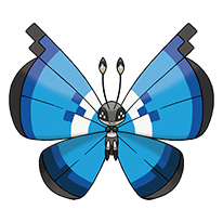 #666 Vivillon Marine Pattern